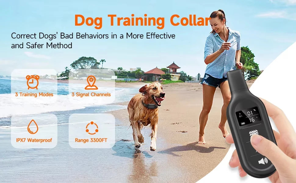 Electric Dog Training Collar