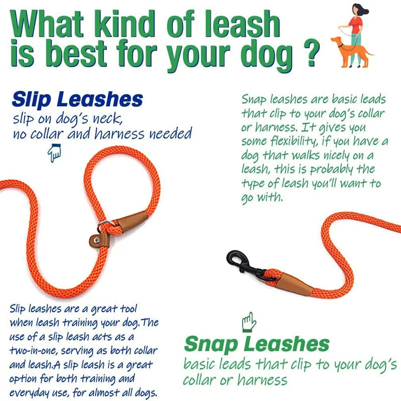 Dog Slip Lead Dog Leash Nylon Solid Rope