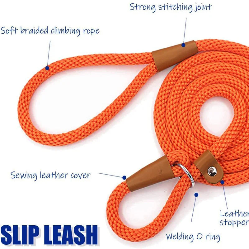 Dog Slip Lead Dog Leash Nylon Solid Rope