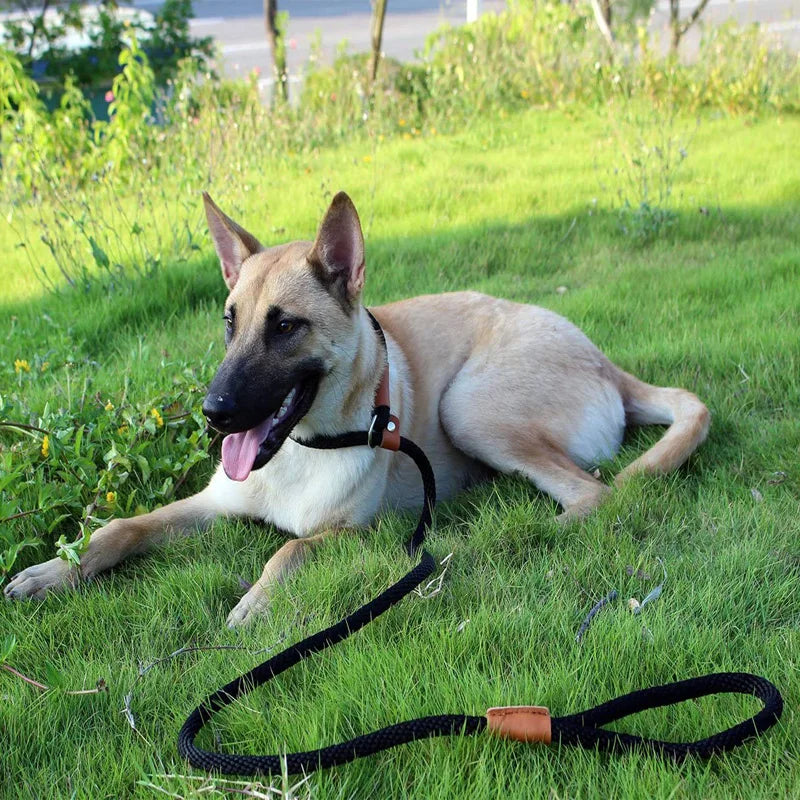Dog Slip Lead Dog Leash Nylon Solid Rope