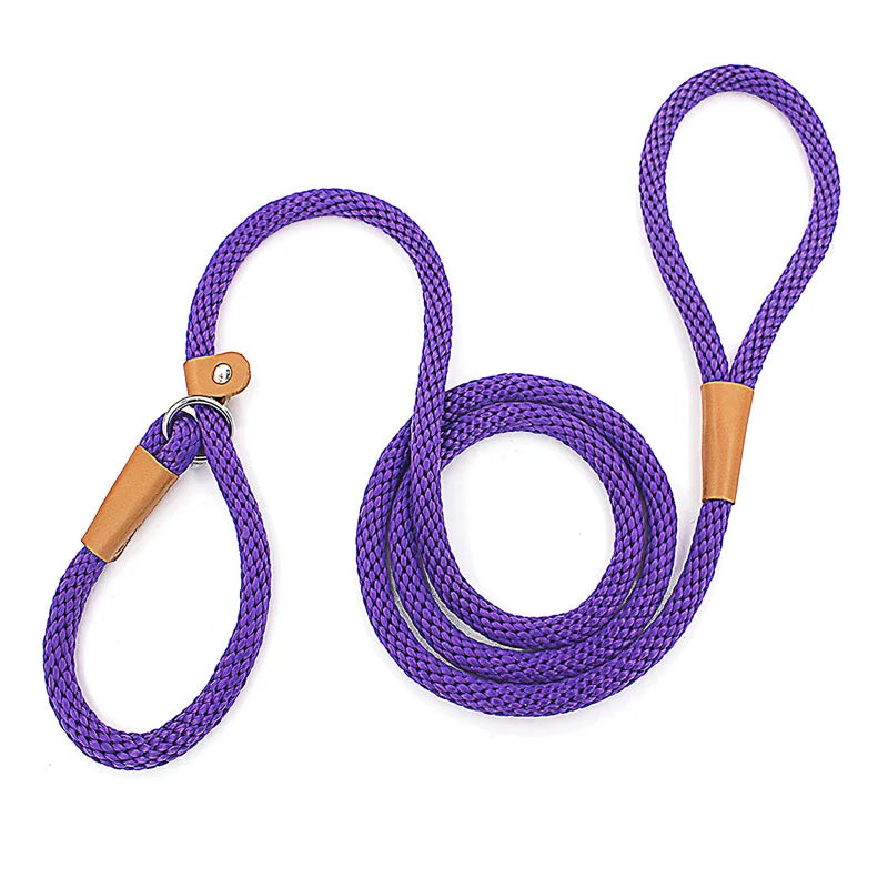 Dog Slip Lead Dog Leash Nylon Solid Rope