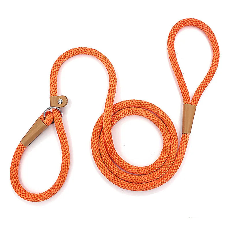Dog Slip Lead Dog Leash Nylon Solid Rope