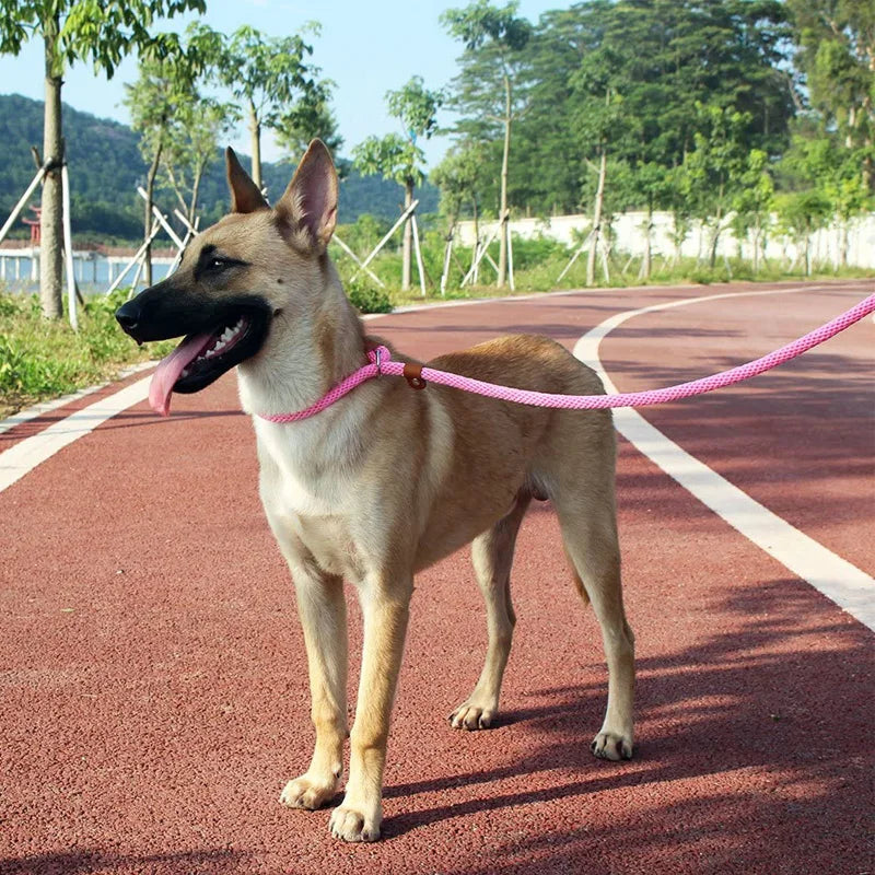 Dog Slip Lead Dog Leash Nylon Solid Rope