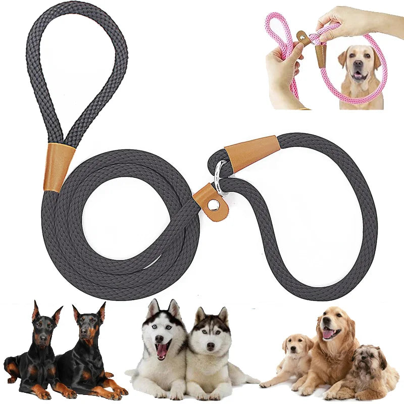 Dog Slip Lead Dog Leash Nylon Solid Rope
