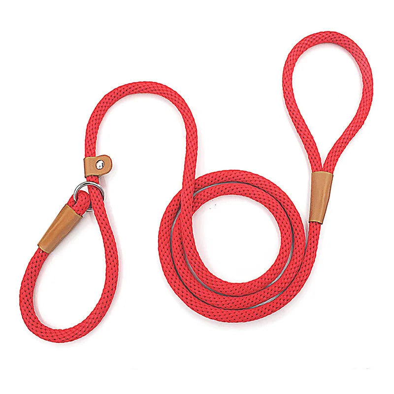 Dog Slip Lead Dog Leash Nylon Solid Rope