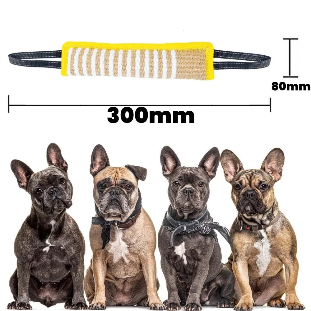Dog Training Chew Toy and Training Tool