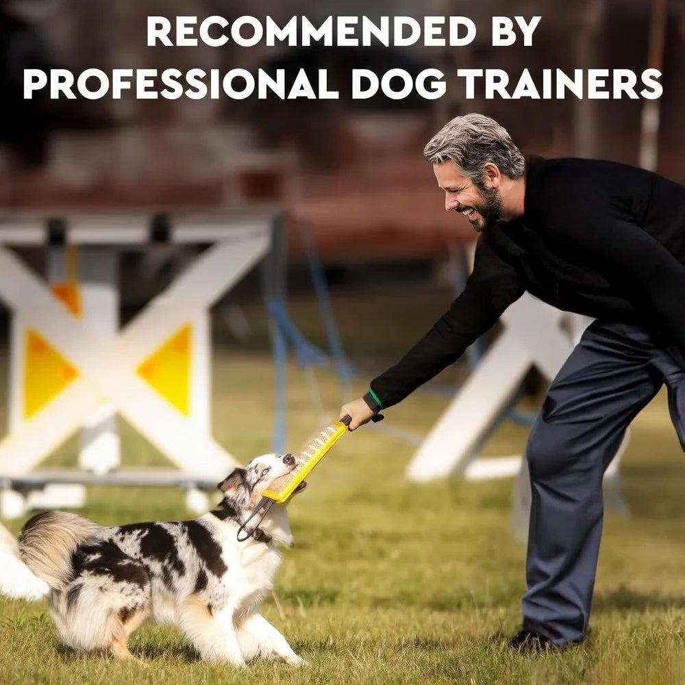 Dog Training Chew Toy and Training Tool