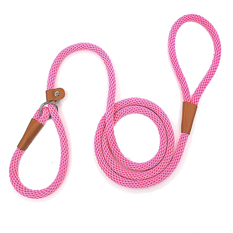 Dog Slip Lead Dog Leash Nylon Solid Rope