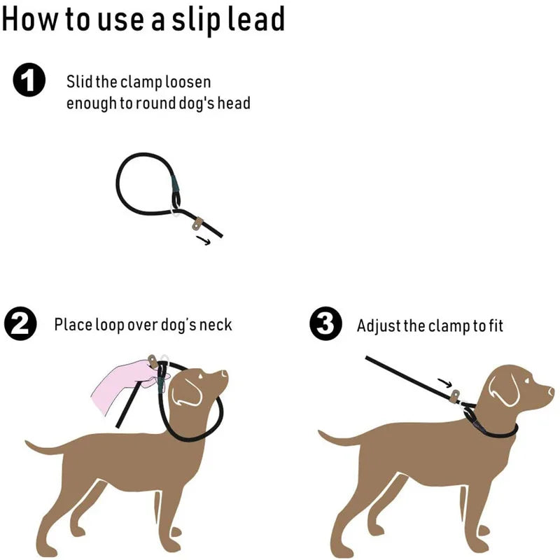 Dog Slip Lead Dog Leash Nylon Solid Rope