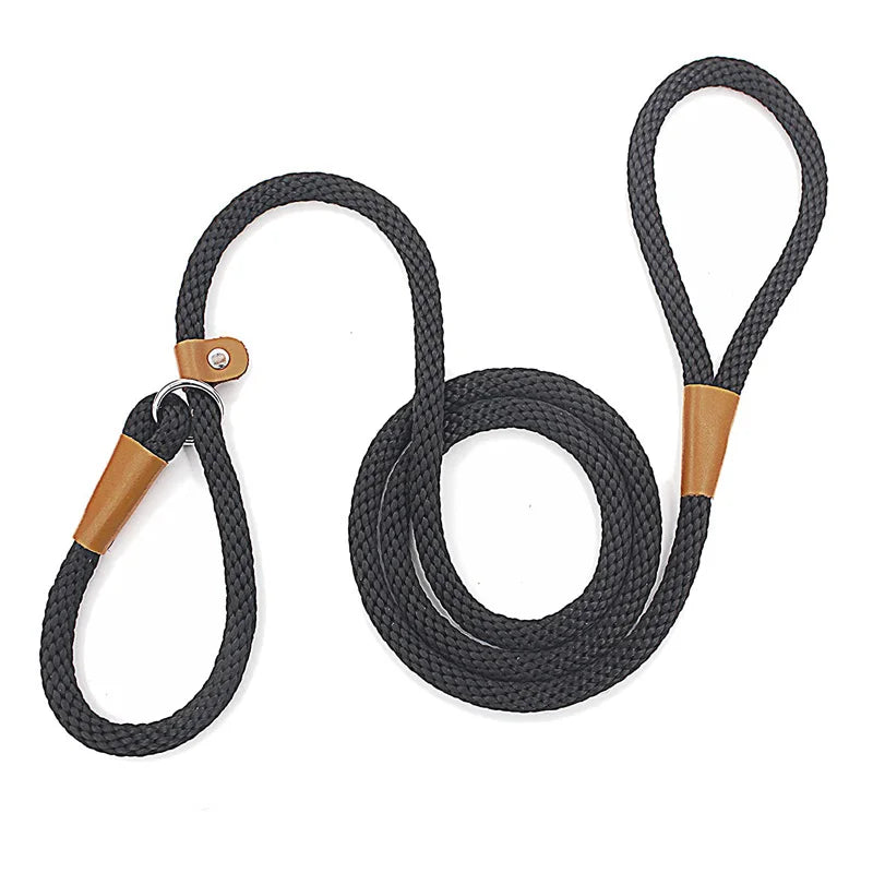 Dog Slip Lead Dog Leash Nylon Solid Rope