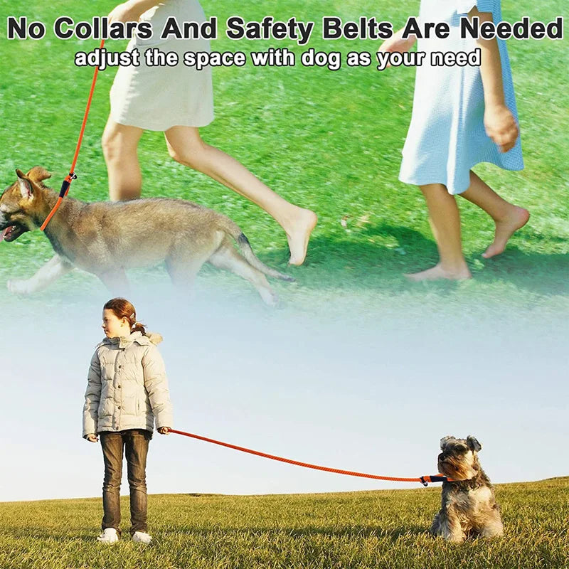 Dog Slip Lead Dog Leash Nylon Solid Rope